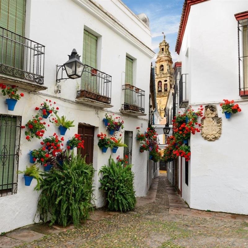 El Patio De San Miguel Διαμέρισμα Κόρδοβα Εξωτερικό φωτογραφία